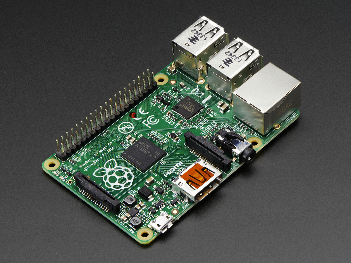 raspberry 1