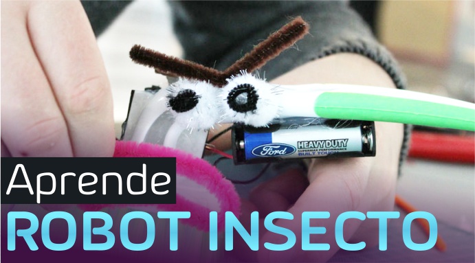Tutorial para hacer un Robot Cepillo | Robot Insecto Casero